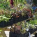 Donderdag 24 september: maandelijkse bijeenkomst
